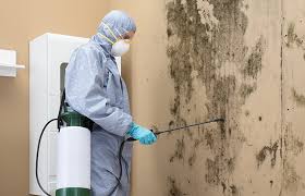 Best Industrial Mold Remediation  in Upper Exeter, PA